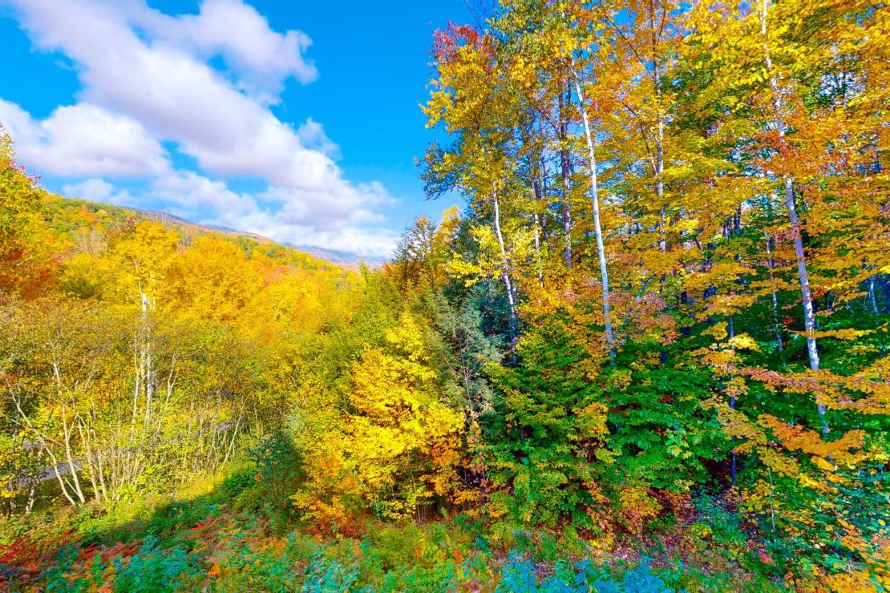 Tuckerman Tollhouse Villa Jackson Buitenkant foto